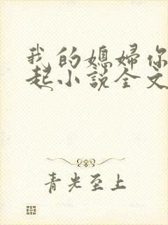 我的媳妇你惹不起小说全文阅读