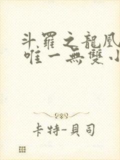 斗罗之龙凰传说 唯一无双小说