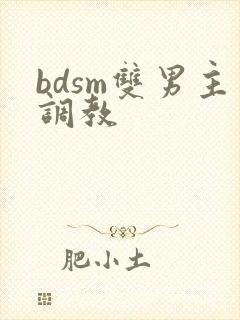 bdsm双男主调教