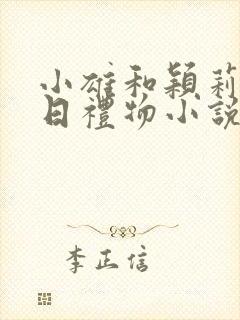 小雄和颖莉的生日礼物小说