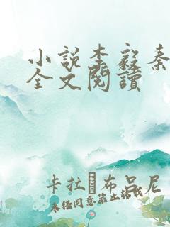 小说李毅秦冷婉全文阅读