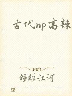古代np高辣文