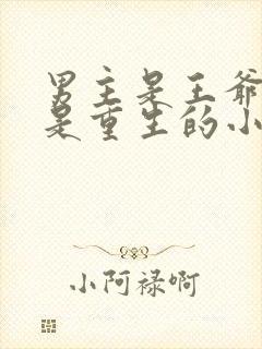 男主是王爷女主是重生的小说