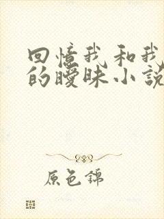 回忆我和我母亲的暧昧小说