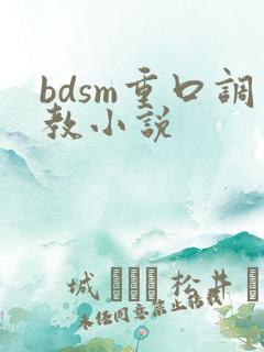 bdsm重口调教小说