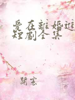 爱在离婚进行时短剧全集