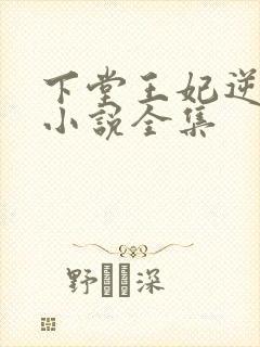 下堂王妃逆袭记小说全集