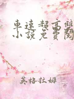 车速超高双男主小说免费阅读