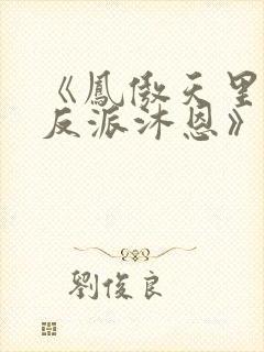 《凤傲天里黄毛反派沐恩》小说