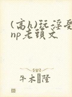 (高h)玩淫受np老头文