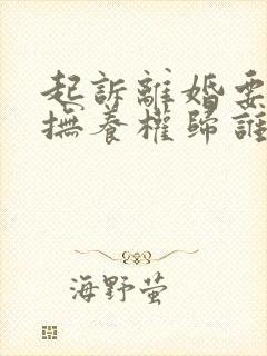 起诉离婚要小孩抚养权归谁