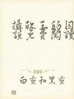 摄政王的囚凰小说免费阅读