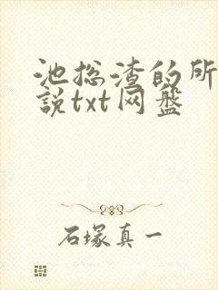池总渣的所有小说txt网盘
