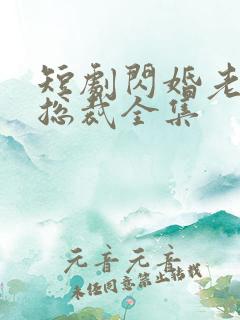 短剧闪婚老公是总裁全集