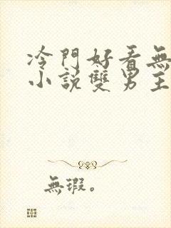 冷门好看无限流小说双男主