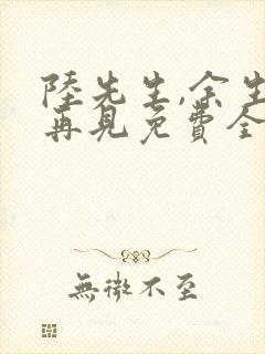 陆先生,余生不再见免费全集