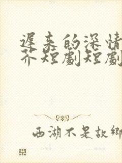 迟来的深情如草芥短剧短剧全集观看