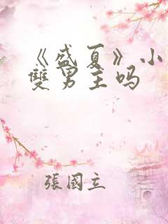 《盛夏》小说是双男主吗