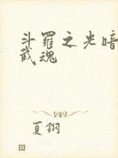 斗罗之光暗双生武魂