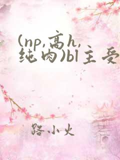 (np,高h,纯肉)bl主受