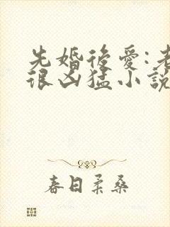 先婚后爱:老公很凶猛小说免费阅读