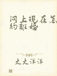 网上现在怎么预约离婚