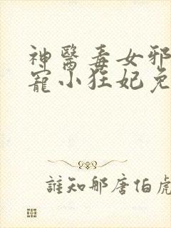 神医毒女邪王盛宠小狂妃免费阅读