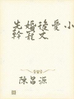 先婚后爱小说高干宠文