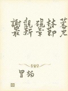 谢观砚林茉小说最新章节免费阅读全文