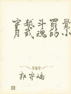 穿越斗罗觉醒日月武魂的小说