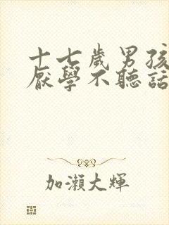 十七岁男孩叛逆厌学不听话