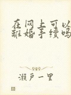 在网上可以办理离婚手续吗