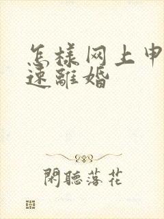 怎样网上申请快速离婚