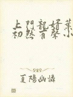 上门龙婿叶辰萧初然有声小说