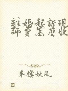 离婚起诉现在律师费怎么收费的