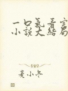 一口气看完爽文小说大结局