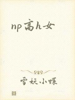 np高h女