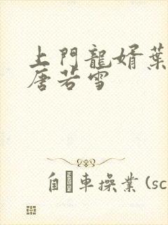 上门龙婿叶凡和唐若雪