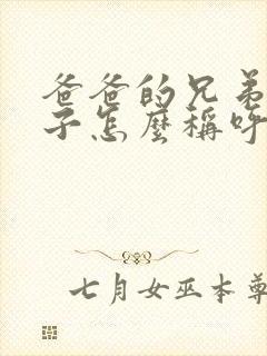 爸爸的兄弟的儿子怎么称呼