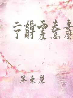 二婚两夫妻离婚了财产怎么分割