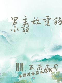 男主姓霍的全部小说