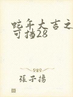 蛇年大吉之婚不可挡28