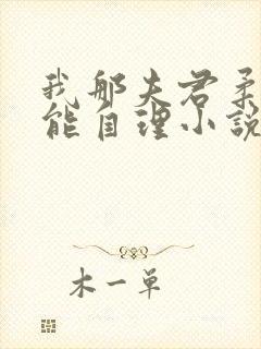 我那夫君柔弱不能自理小说版