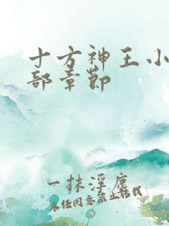 十方神王小说全部章节