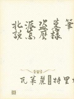 北派盗墓笔记小说怎么样