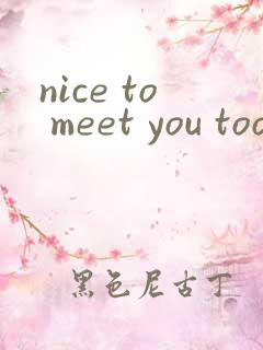 nice to meet you too的翻译中文