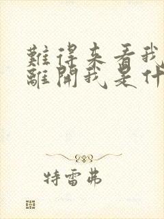 难得来看我却又离开我是什么歌