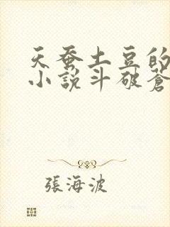 天蚕土豆的全部小说斗破苍穹