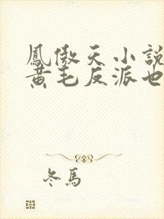 凤傲天小说里的黄毛反派也想要幸福