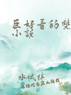 巨好看的双男主小说